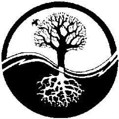 occult wicca dark witch PFP