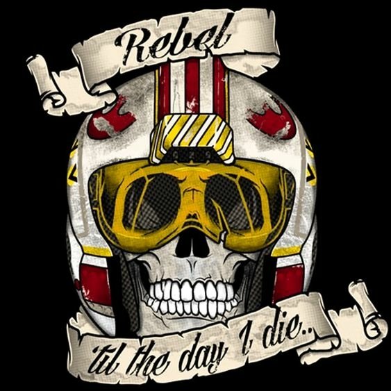 Download Skull Rebel Alliance (Star Wars) Movie Star Wars PFP