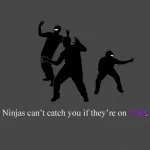 funny ninja PFP