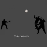 funny ninja PFP