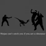 funny ninja PFP