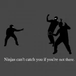 funny ninja PFP