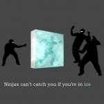 Download Funny Ninja PFP