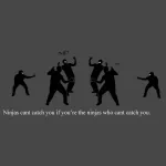 funny ninja PFP