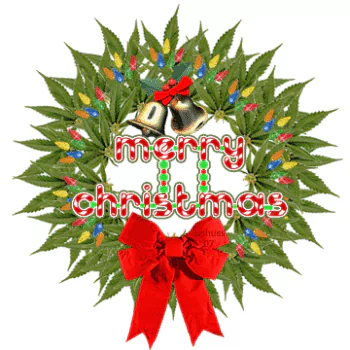 holiday Christmas PFP