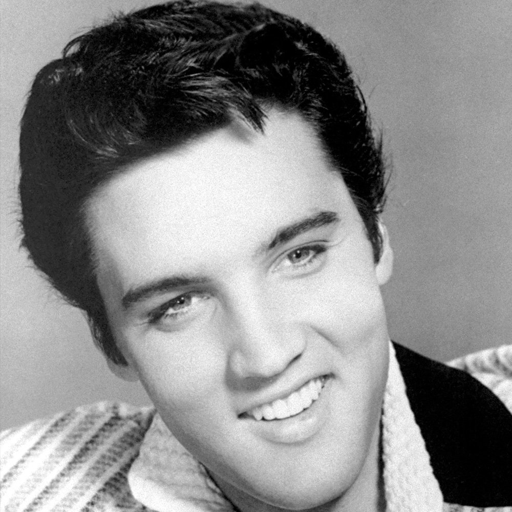 Download Music Elvis Presley PFP