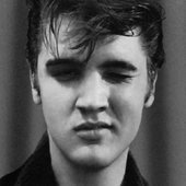 Download Music Elvis Presley PFP