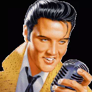 music Elvis Presley PFP