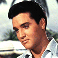 Download Blues Elvis Presley Music PFP