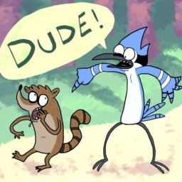 Download TV Show Regular Show Mordecai (Regular Show) Rigby (Regular Show) PFP
