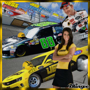 race car NASCAR vehicle PFP