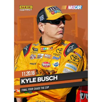 NASCAR video game PFP