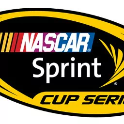 NASCAR vehicle PFP