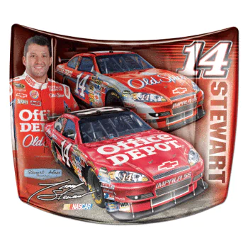 race car NASCAR vehicle PFP