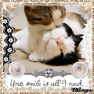 Download Glitter Animal Cat PFP