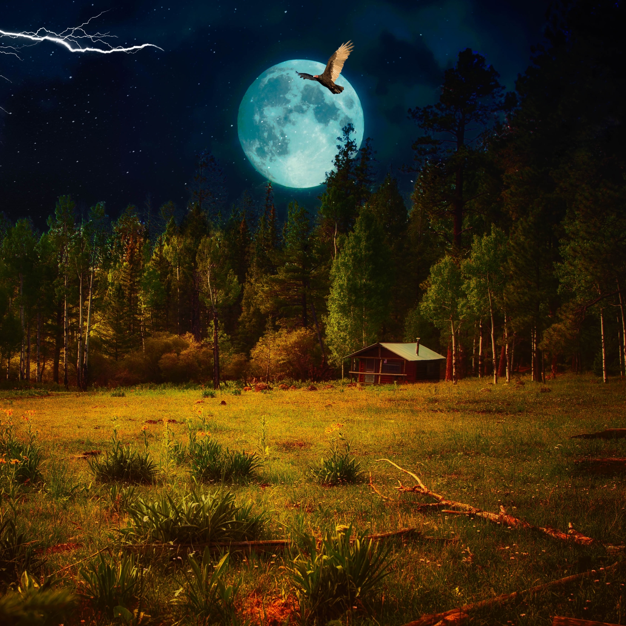 Night Landscape by Monty Jackson