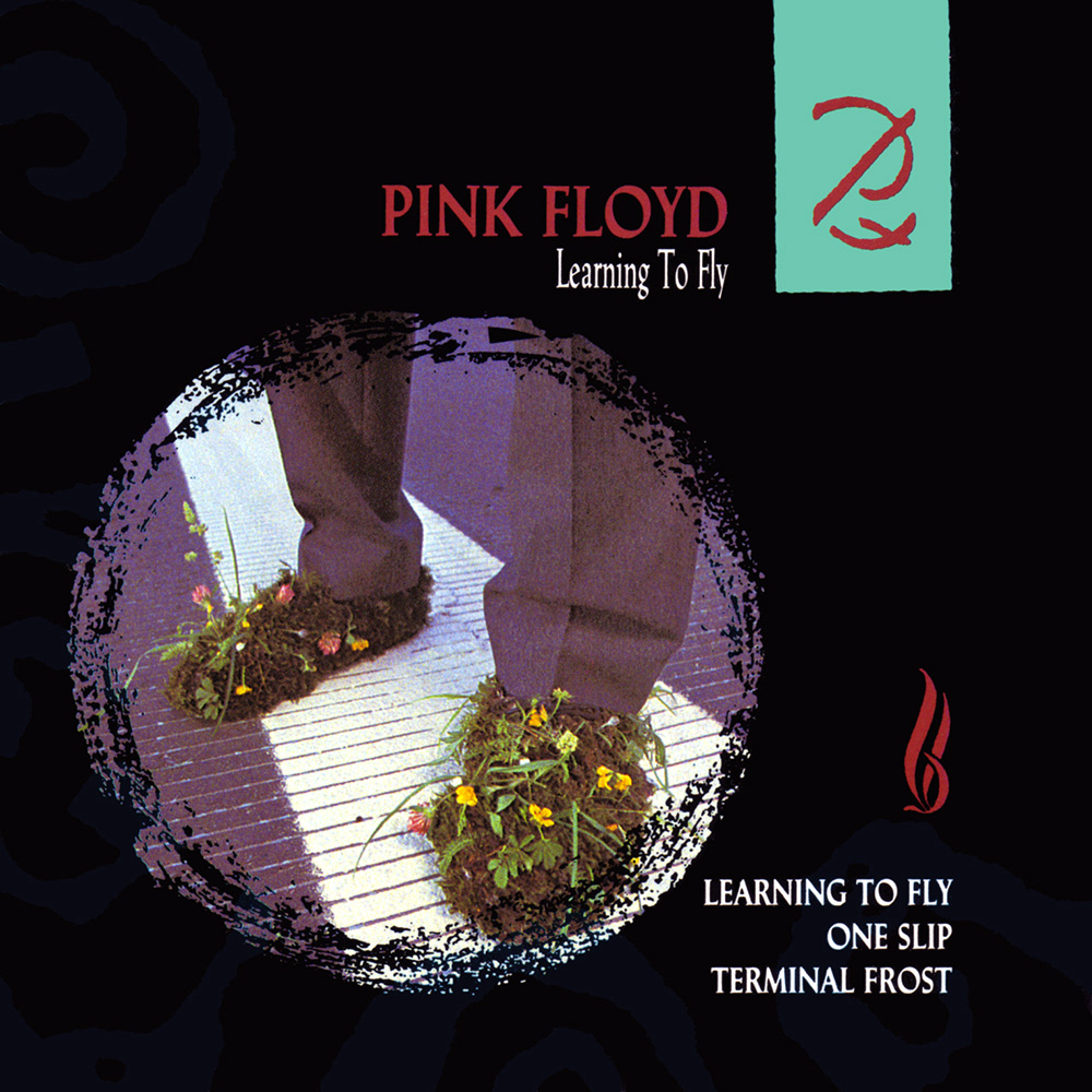 Pink Floyd Pfp