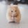 Rodent