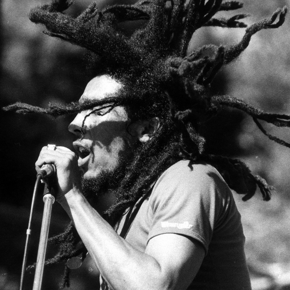 Download Ska Reggae Bob Marley Music PFP