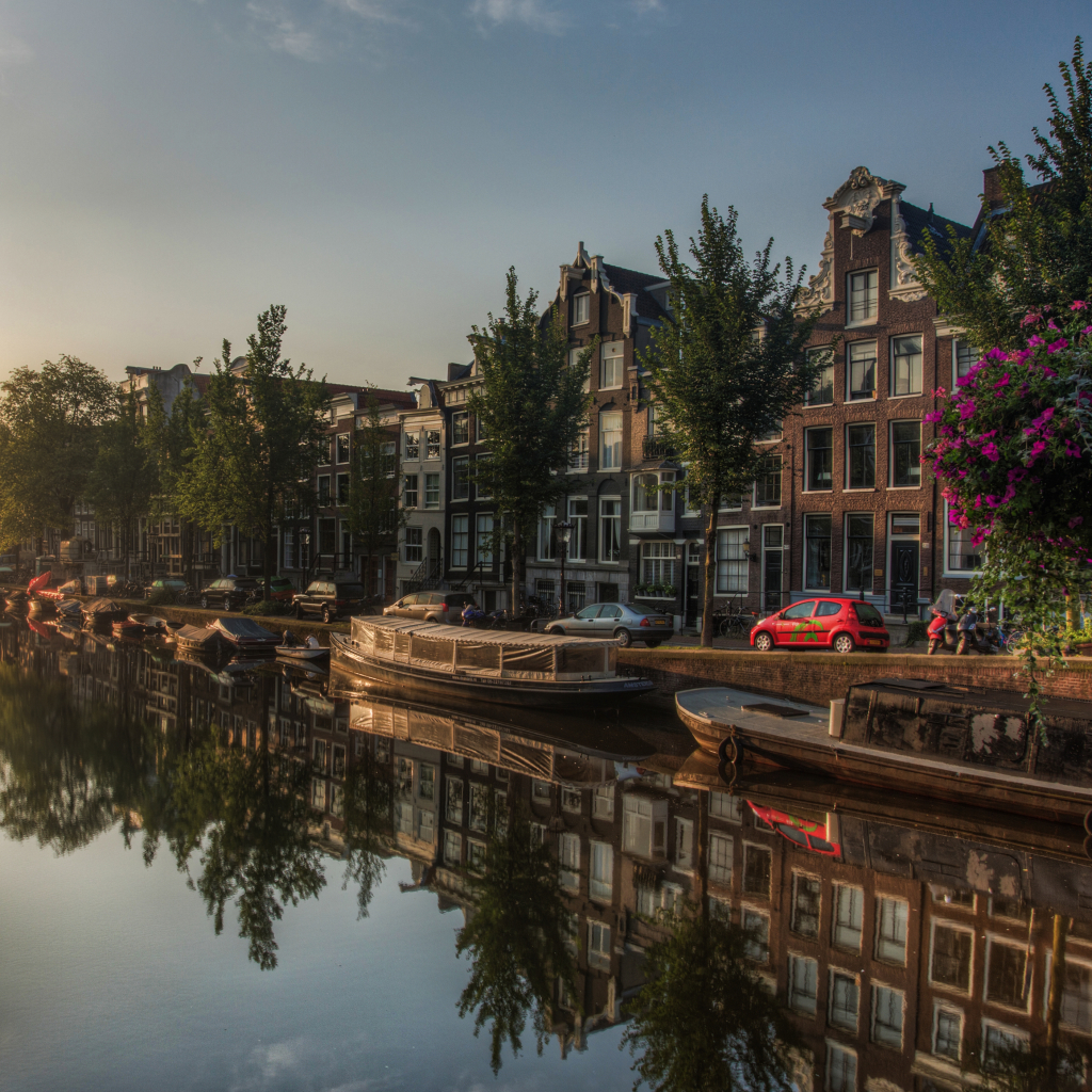 Amsterdam Pfp by Jacob Surland