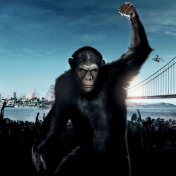 Rise Of The Planet Of The Apes Pfp