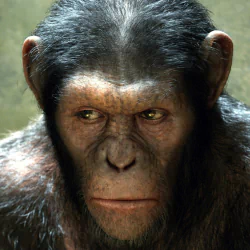 Rise Of The Planet Of The Apes PFP