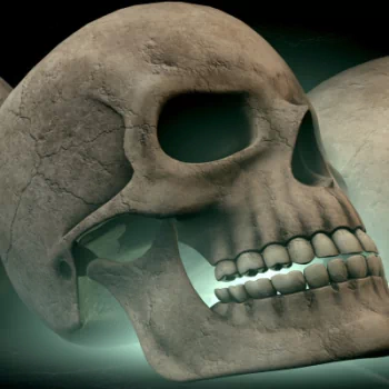  3d Model Skulls