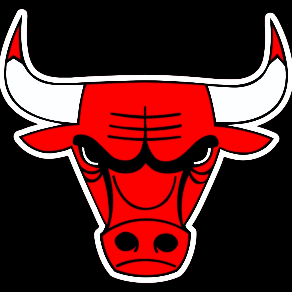 Chicago Bulls Pfp