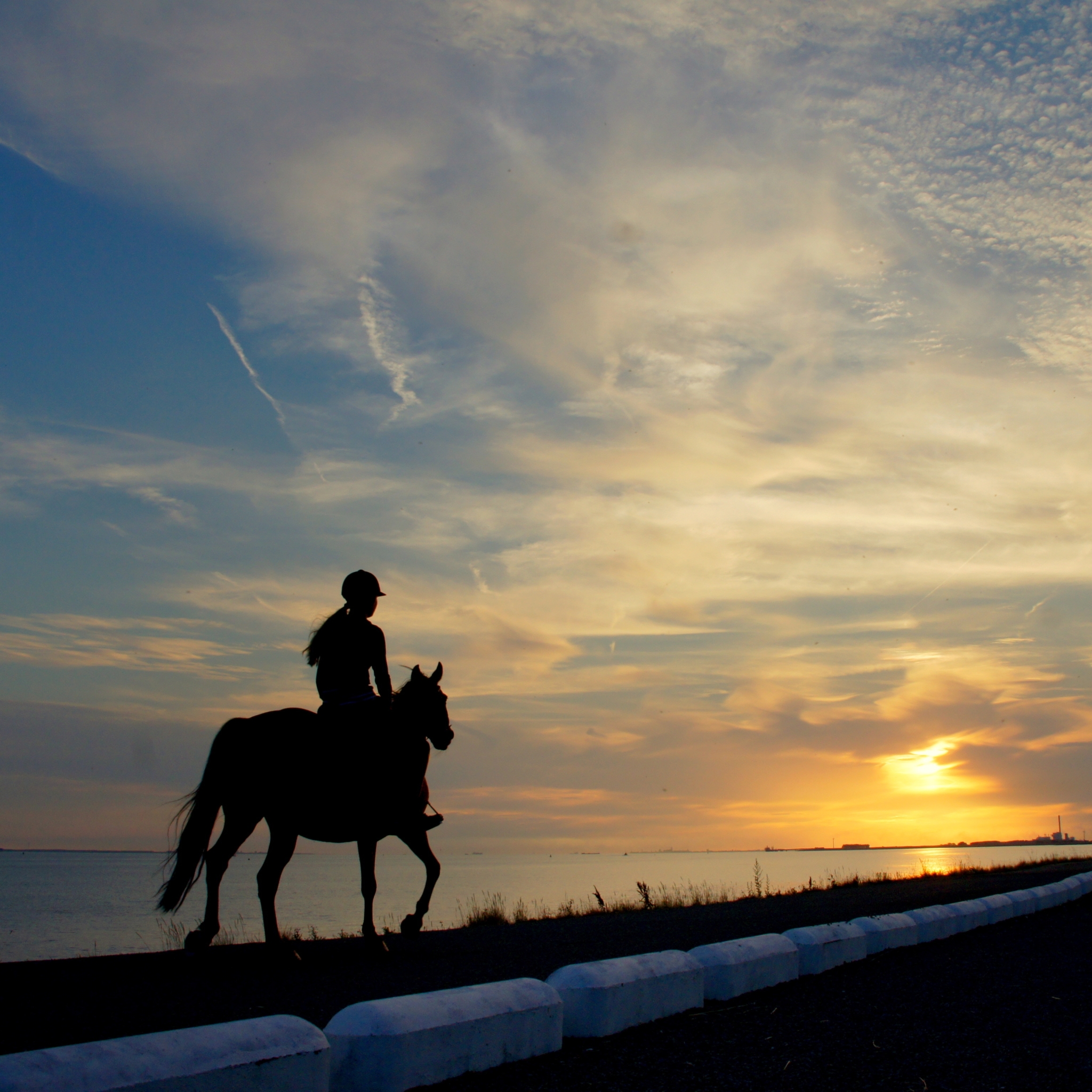 Girl Riding Her Horse at Sunset