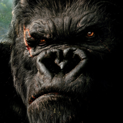 King Kong (2005) Pfp