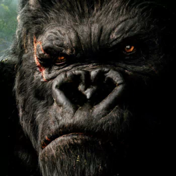 movie ape gorilla King Kong King Kong (2005) PFP