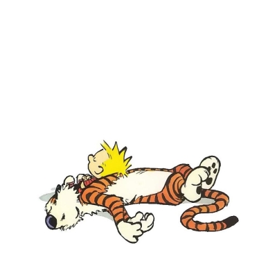 Calvin & Hobbes Pfp