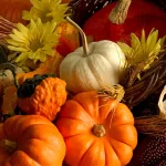 food vegetable PFP