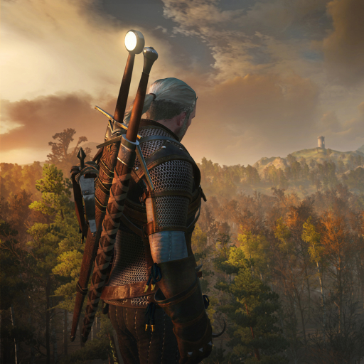 The Witcher 3: Wild Hunt Pfp