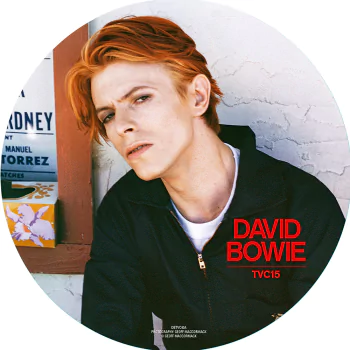 music David Bowie PFP