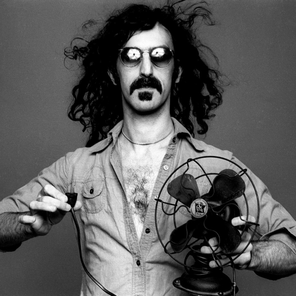 Download Music Frank Zappa PFP