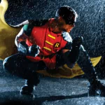  Robin