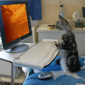 technology computer PFP