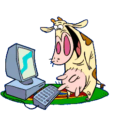technology computer PFP
