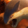 Typhlosion (Pokemon)