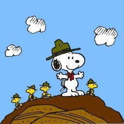Download Comic Peanuts PFP