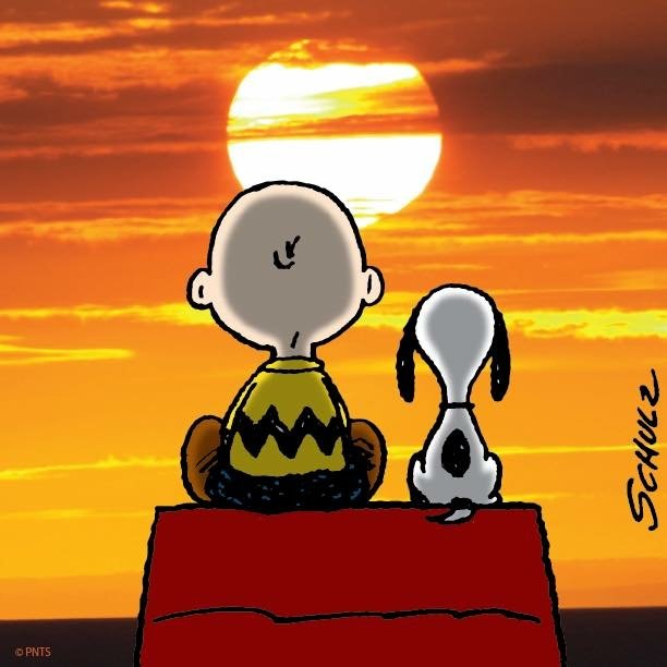 Download Charlie Brown Snoopy Comic Peanuts PFP