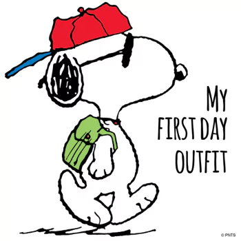 Snoopy Comic Peanuts PFP