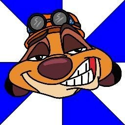 Download Animal Meerkat PFP