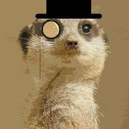 Download Animal Meerkat PFP