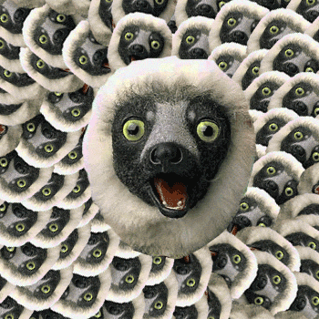 Download Animal Lemur PFP