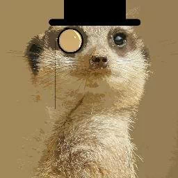 Animal meerkat PFP