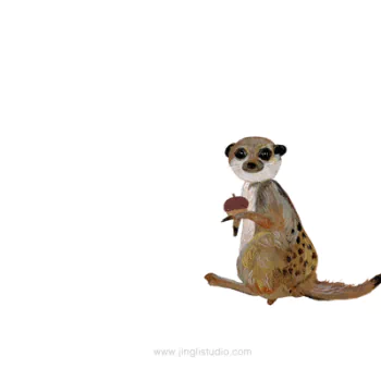 Animal meerkat PFP