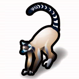 Animal lemur PFP