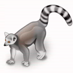 Animal lemur PFP